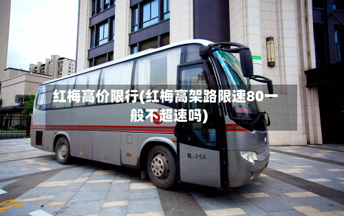 红梅高价限行(红梅高架路限速80一般不超速吗)