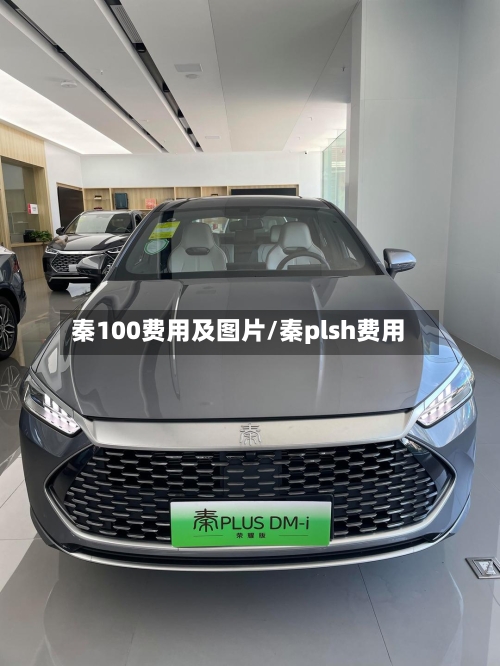 秦100费用及图片/秦plsh费用