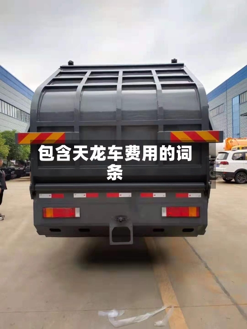 包含天龙车费用的词条