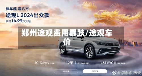 郑州途观费用暴跌/途观车价-第2张图片