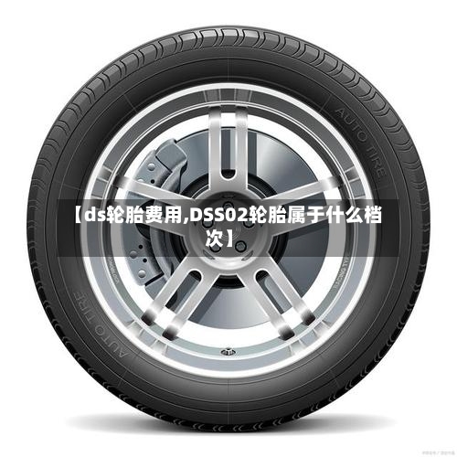 【ds轮胎费用,DSS02轮胎属于什么档次】