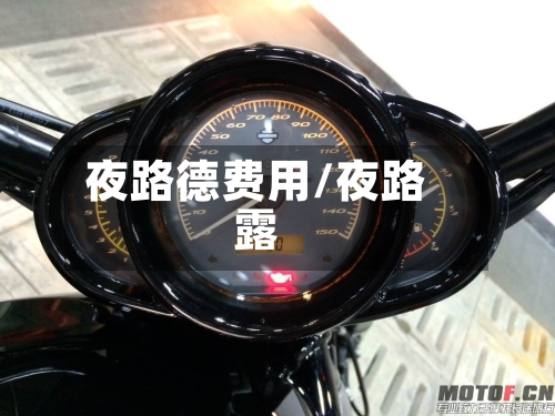 夜路德费用/夜路露-第2张图片