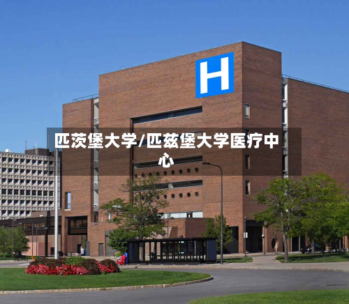 匹茨堡大学/匹兹堡大学医疗中心-第2张图片