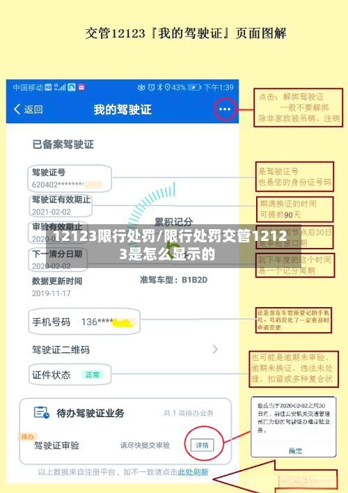 12123限行处罚/限行处罚交管12123是怎么显示的-第2张图片