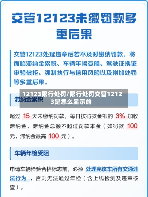 12123限行处罚/限行处罚交管12123是怎么显示的