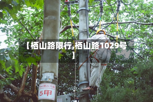 【栖山路限行,栖山路1029号】-第2张图片