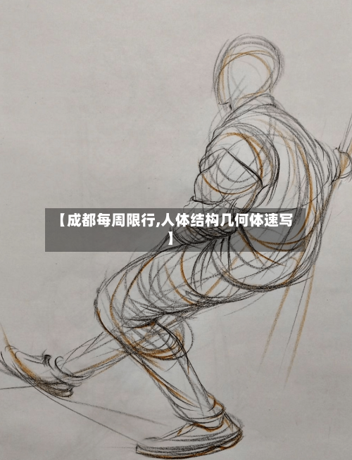 【成都每周限行,人体结构几何体速写】