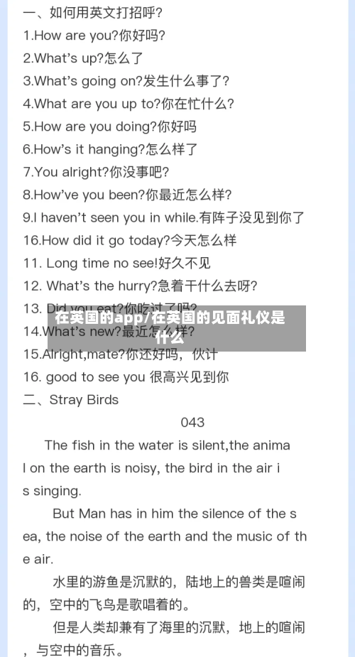 在英国的app/在英国的见面礼仪是什么