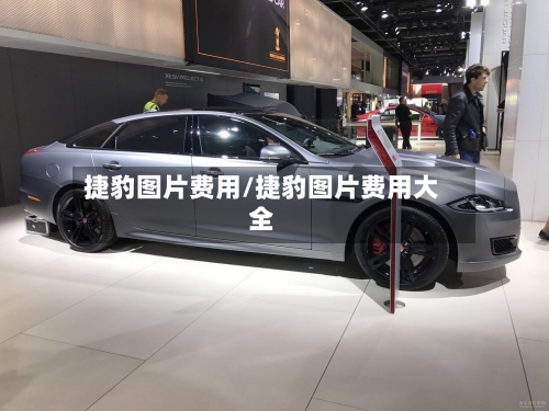 捷豹图片费用/捷豹图片费用大全-第2张图片
