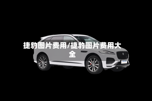捷豹图片费用/捷豹图片费用大全