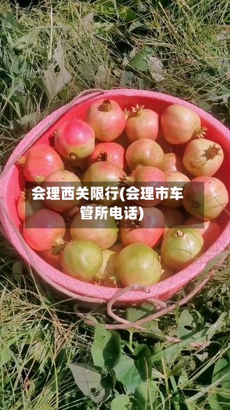 会理西关限行(会理市车管所电话)