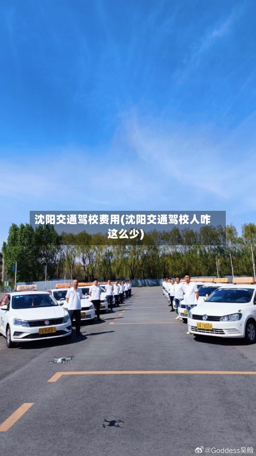沈阳交通驾校费用(沈阳交通驾校人咋这么少)