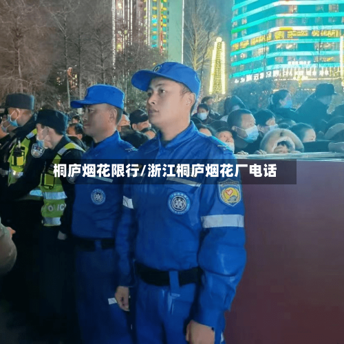 桐庐烟花限行/浙江桐庐烟花厂电话-第2张图片