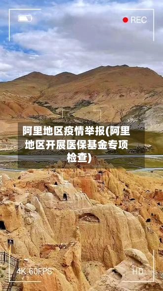 阿里地区疫情举报(阿里地区开展医保基金专项检查)-第2张图片