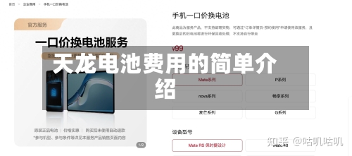 天龙电池费用的简单介绍-第2张图片