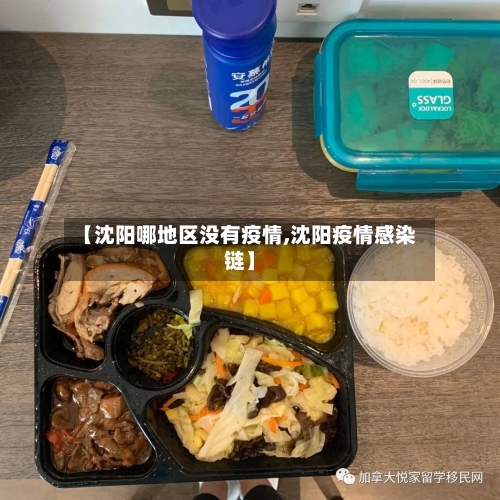 【沈阳哪地区没有疫情,沈阳疫情感染链】-第2张图片