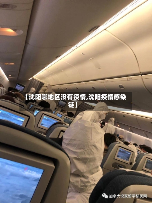 【沈阳哪地区没有疫情,沈阳疫情感染链】-第3张图片