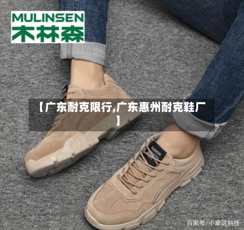 【广东耐克限行,广东惠州耐克鞋厂】