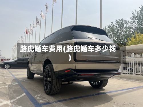 路虎婚车费用(路虎婚车多少钱)-第2张图片