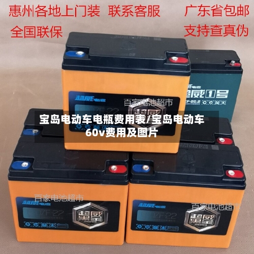 宝岛电动车电瓶费用表/宝岛电动车60v费用及图片-第2张图片