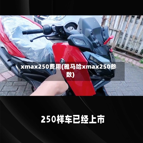 xmax250费用(雅马哈xmax250参数)