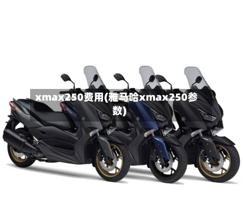 xmax250费用(雅马哈xmax250参数)-第3张图片