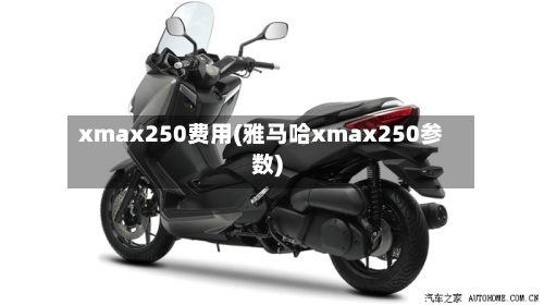xmax250费用(雅马哈xmax250参数)-第2张图片