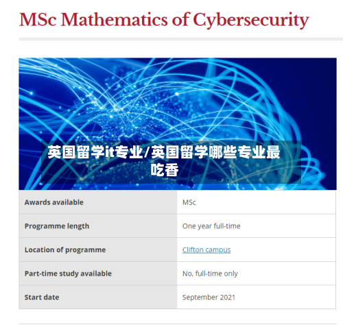 英国留学it专业/英国留学哪些专业最吃香