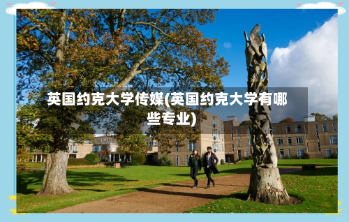 英国约克大学传媒(英国约克大学有哪些专业)-第3张图片