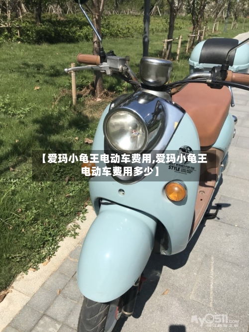 【爱玛小龟王电动车费用,爱玛小龟王电动车费用多少】-第3张图片