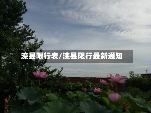 滦县限行表/滦县限行最新通知-第3张图片