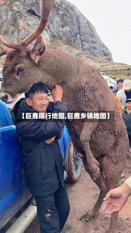 【巨鹿限行地图,巨鹿乡镇地图】-第2张图片