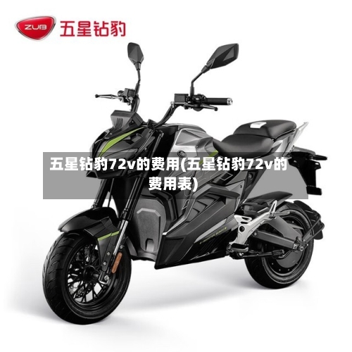 五星钻豹72v的费用(五星钻豹72v的费用表)