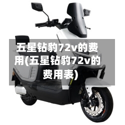 五星钻豹72v的费用(五星钻豹72v的费用表)-第2张图片