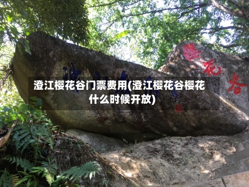 澄江樱花谷门票费用(澄江樱花谷樱花什么时候开放)