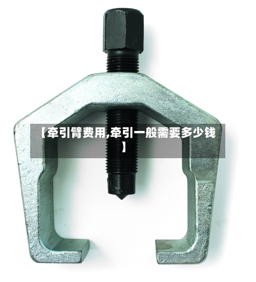 【牵引臂费用,牵引一般需要多少钱】-第3张图片