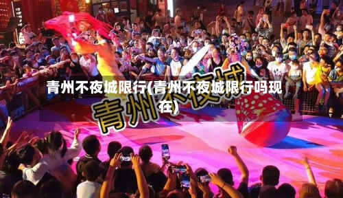 青州不夜城限行(青州不夜城限行吗现在)-第2张图片
