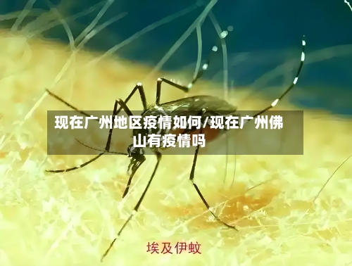 现在广州地区疫情如何/现在广州佛山有疫情吗-第3张图片