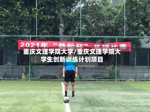 重庆文理学院大学/重庆文理学院大学生创新训练计划项目
