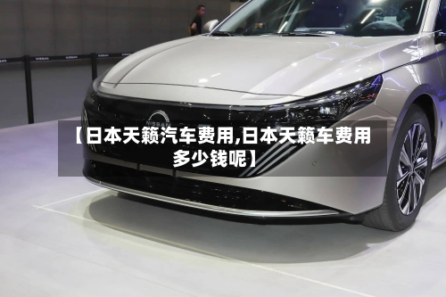 【日本天籁汽车费用,日本天籁车费用多少钱呢】-第3张图片