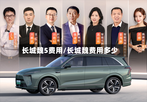 长城魏5费用/长城魏费用多少