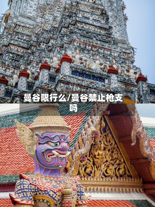 曼谷限行么/曼谷禁止枪支吗