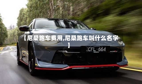 【尼桑跑车费用,尼桑跑车叫什么名字】-第2张图片