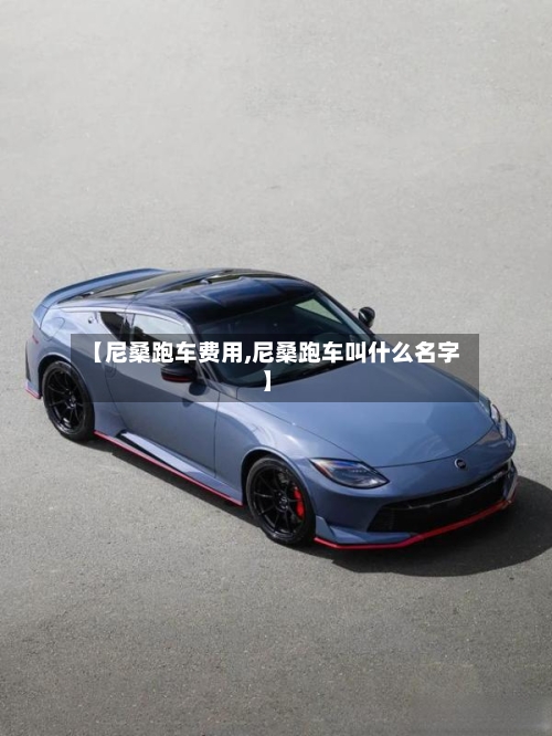 【尼桑跑车费用,尼桑跑车叫什么名字】