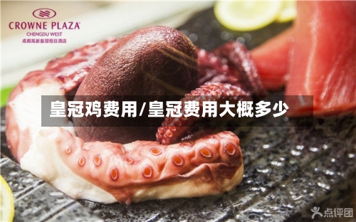 皇冠鸡费用/皇冠费用大概多少-第3张图片