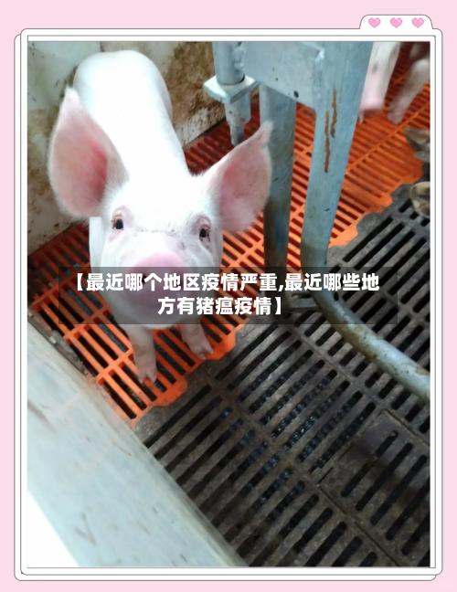 【最近哪个地区疫情严重,最近哪些地方有猪瘟疫情】