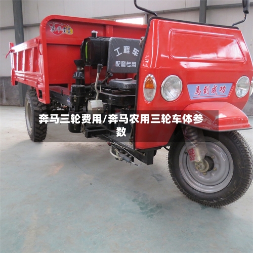 奔马三轮费用/奔马农用三轮车体参数-第2张图片