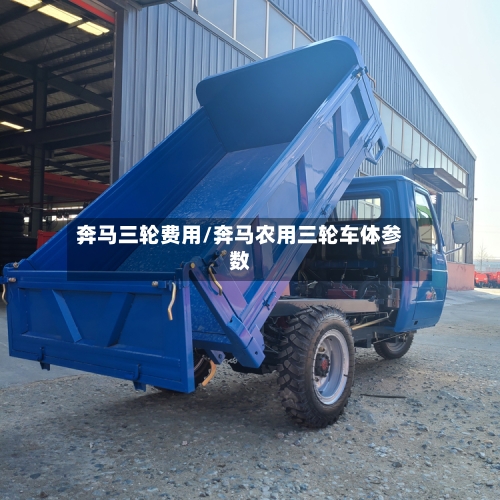 奔马三轮费用/奔马农用三轮车体参数