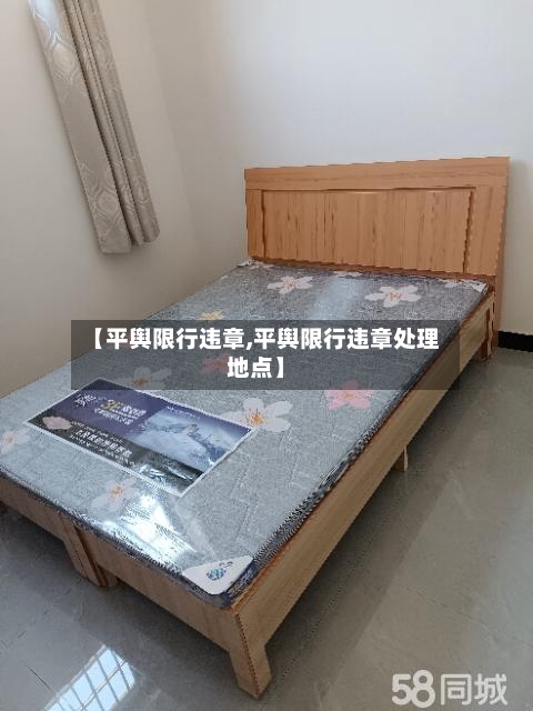 【平舆限行违章,平舆限行违章处理地点】-第2张图片