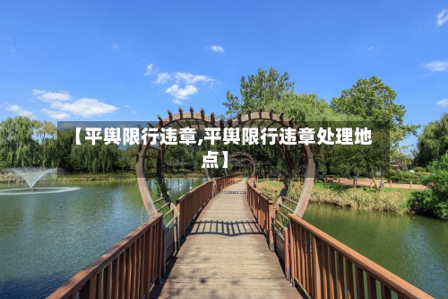 【平舆限行违章,平舆限行违章处理地点】-第3张图片